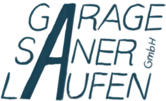 Garage Saner